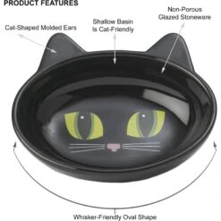 PetRageous Designs Frisky Kitty Oval Cat Dish -Cat Supply Store 70333 PT5. AC SS1800 V1660340873