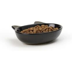 PetRageous Designs Frisky Kitty Oval Cat Dish -Cat Supply Store 70333 PT6. AC SS1800 V1660340089