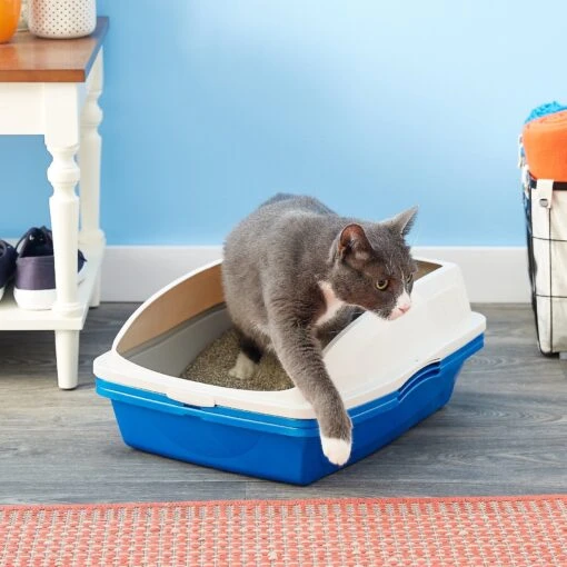 Van Ness Sifting Cat Litter Pan With Frame -Cat Supply Store 70447 MAIN. AC SS1800 V1565284391