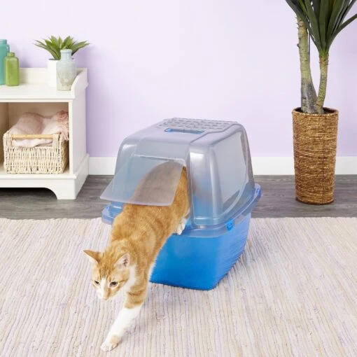 Van Ness Translucent Enclosed Cat Litter Pan -Cat Supply Store 70455 MAIN. AC SS1800 V1565284635