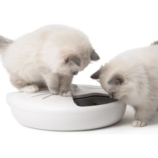 Catit Pixi Smart 6-Meal Cat Feeder -Cat Supply Store 706126 PT2. AC SS1800 V1668024577