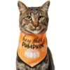 Frisco Hey There Pumpkin Dog & Cat Bandana -Cat Supply Store 706374 MAIN. AC SS1800 V1689351106