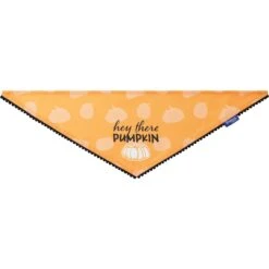 Frisco Hey There Pumpkin Dog & Cat Bandana -Cat Supply Store 706374 PT3. AC SS1800 V1689282446