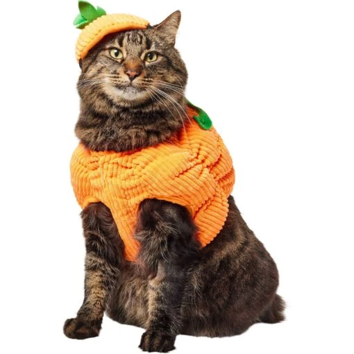 Frisco Pumpkin Ball Dog & Cat Costume -Cat Supply Store 708902 MAIN. AC SS1800 V1689351821