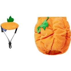 Frisco Pumpkin Ball Dog & Cat Costume -Cat Supply Store 708902 PT4. AC SS1800 V1689342202