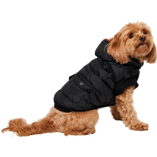 Frisco Heavy Weight Matte Quilted Volume Dog & Cat Puffer -Cat Supply Store 719750 PT2. AC SS1800 V1703184628