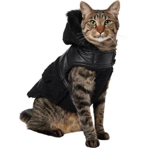 Frisco Medium Weight Faux Leather Dog & Cat Parka With Faux Fur Trimmed Hood, Black -Cat Supply Store 719798 MAIN. AC SS1800 V1692380241