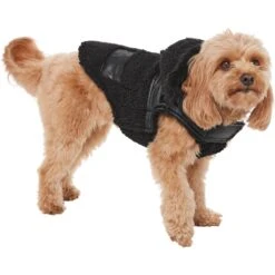 Frisco Medium Weight Faux Leather Dog & Cat Parka With Faux Fur Trimmed Hood, Black -Cat Supply Store 719798 PT2. AC SS1800 V1703184628