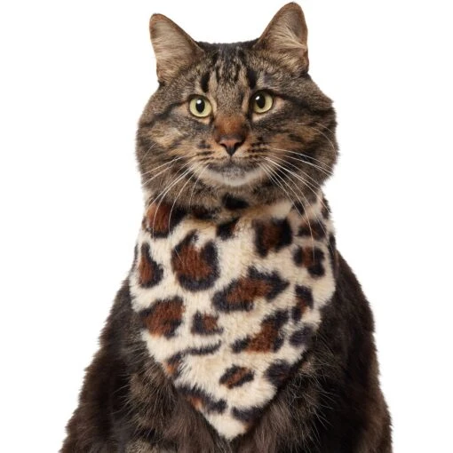 Frisco Leopard Faux Fur Dog & Cat Bandana -Cat Supply Store 733894 MAIN. AC SS1800 V1692379950