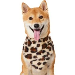 Frisco Leopard Faux Fur Dog & Cat Bandana -Cat Supply Store 733894 PT2. AC SS1800 V1692971090