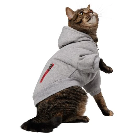 Frisco Sweatshirt Fleece Dog & Cat Hoodie With Sherpa Lining -Cat Supply Store 742550 MAIN. AC SS1800 V1692380455