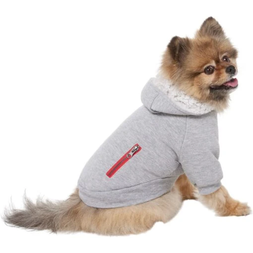 Frisco Sweatshirt Fleece Dog & Cat Hoodie With Sherpa Lining -Cat Supply Store 742550 PT2. AC SS1800 V1703194378