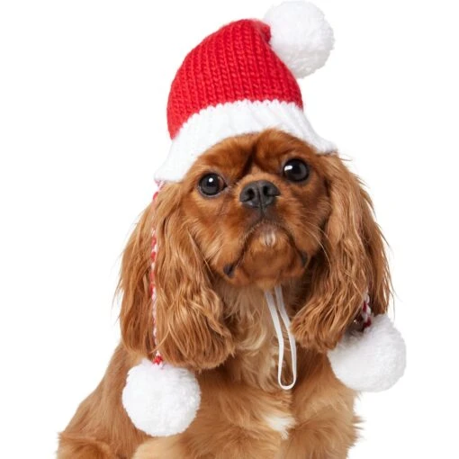 Frisco Chunky Knit Santa Dog & Cat Hat -Cat Supply Store 744878 PT2. AC SS1800 V1694812755