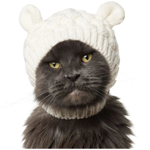 Frisco Polar Bear Sweater Knit Dog & Cat Hat -Cat Supply Store 745742 MAIN. AC SS1800 V1694793753