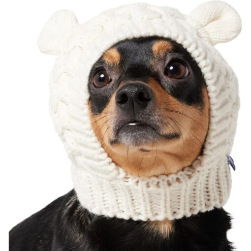 Frisco Polar Bear Sweater Knit Dog & Cat Hat -Cat Supply Store 745742 PT2. AC SS1800 V1694793756