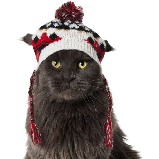 Frisco Nordic Pawprint Dog & Cat Hat -Cat Supply Store 746782 MAIN. AC SS1800 V1694798864