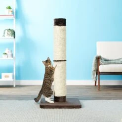 MidWest Feline Nuvo Grand Forte 41-in Cat Scratching Post -Cat Supply Store 80356 PT1. AC SS1800 V1545174822