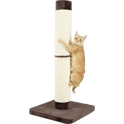 MidWest Feline Nuvo Grand Forte 41-in Cat Scratching Post -Cat Supply Store 80356 PT2. AC SS1800 V1545174823