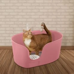 Richell PAW TRAX High Wall Cat Litter Box, X-Large -Cat Supply Store 805006 PT3. AC SS1800 V1678913083