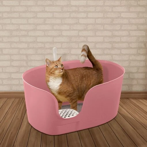 Richell PAW TRAX High Wall Cat Litter Box, X-Large -Cat Supply Store 805006 PT3. AC SS1800 V1678913083