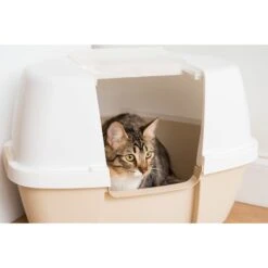 IRIS USA Hooded Corner Cat Litter Box With Front Door Flap & Scoop -Cat Supply Store 816574 PT6. AC SS1800 V1685131608