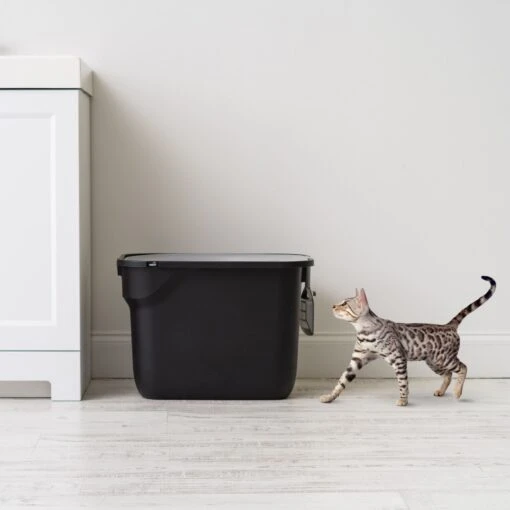 IRIS USA Square Top Entry Cat Litter Box With Scoop, Large -Cat Supply Store 846630 PT2. AC SS1800 V1683835901