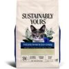 Sustainably Yours Multi-Cat Plus Natural Cat Litter, 10-lb Bag -Cat Supply Store 864526 MAIN. AC SS1800 V1686249430