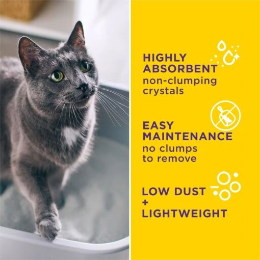 Tidy Cats Alert Health Monitoring Unscented Non-Clumping Cat Litter, 8-lb Bag -Cat Supply Store 871510 PT3. AC SS1800 V1700256917