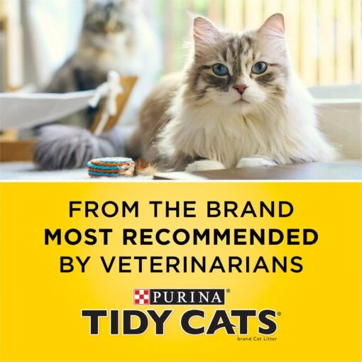 Tidy Cats Alert Health Monitoring Unscented Non-Clumping Cat Litter, 8-lb Bag -Cat Supply Store 871510 PT4. AC SS1800 V1700256917