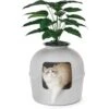 Bundle & Bliss Secret Litter Box Hidden Cat Litter Box Plant -Cat Supply Store 897430 MAIN. AC SS1800 V1687886027