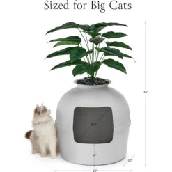 Bundle & Bliss Secret Litter Box Hidden Cat Litter Box Plant -Cat Supply Store 897430 PT5. AC SS1800 V1687891877