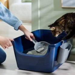 Frisco Open Top Cat Litter Box With Rim, Large & Frisco Plastic Litter Scooper With Caddy -Cat Supply Store 947526 PT5. AC SS1800 V1693924259